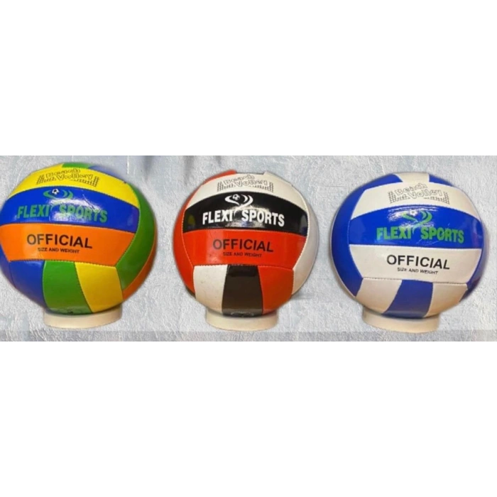 voleybol topu