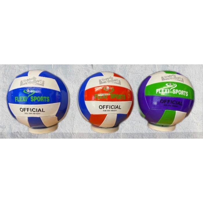 voleybol topu