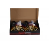 7631 KUTUDA 12Lİ BİSİKLET