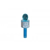 EMR-101 KUTULU KARAOKE MİKROFON