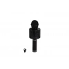 EMR-101 KUTULU KARAOKE MİKROFON