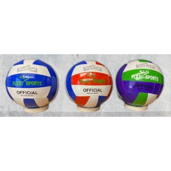 voleybol topu