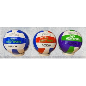 voleybol topu