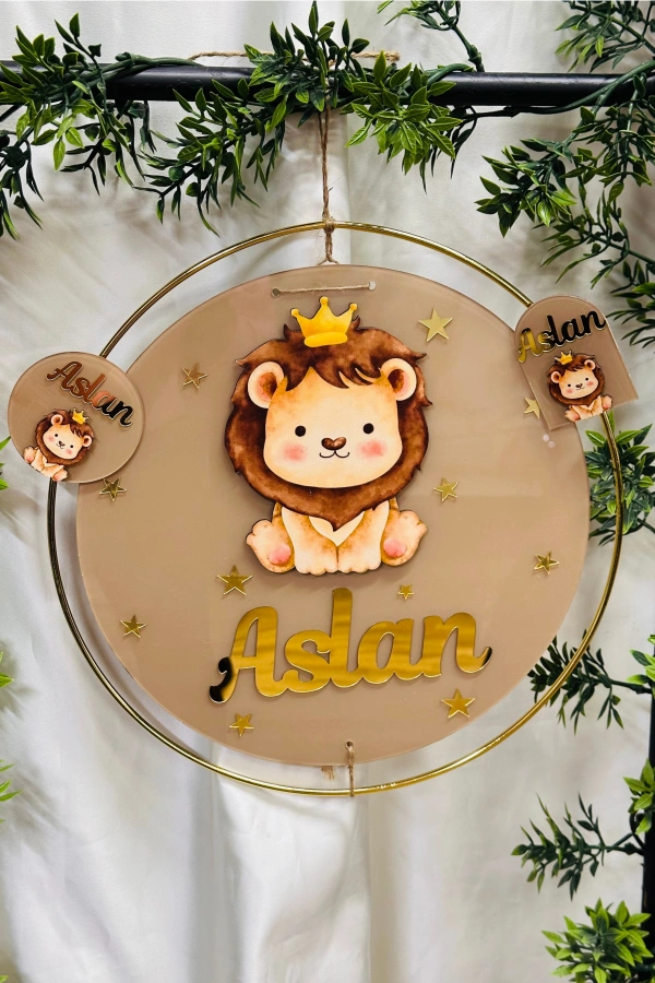 Figürlü Bebek Odası Pleksi Hastane Bebek Kapı Süsü İsimlik Makrome 30x30