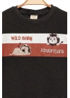 Erkek Çocuk İnce Yazlık %100 Pamuk Kısa Kollu Aslan Desenli Erkek Bebek Füme T-shirt