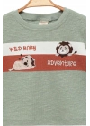 Erkek Çocuk İnce Yazlık %100 Pamuk Kısa Kollu Aslan Desenli Erkek Bebek Yeşil T-shirt