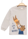 Ayıcık Baskılı %100 Pamuk İnce Mevsimlik Uzun Kollu Çocuk Tshirt - Çocuk Giyim