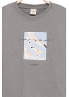 Erkek Çocuk Basic Kısa Kollu %100 Pamuk Martı Aplike Nakış Detaylı Rahat Gri T-Shirt