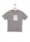 Erkek Çocuk Basic Kısa Kollu %100 Pamuk Martı Aplike Nakış Detaylı Rahat Gri T-Shirt