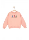 Kız Çocuk Yuvarlak Yaka Yavruağzı Sweatshirt - Prenses Elbiseleri Desenli Nakışlı Çocuk Sweat