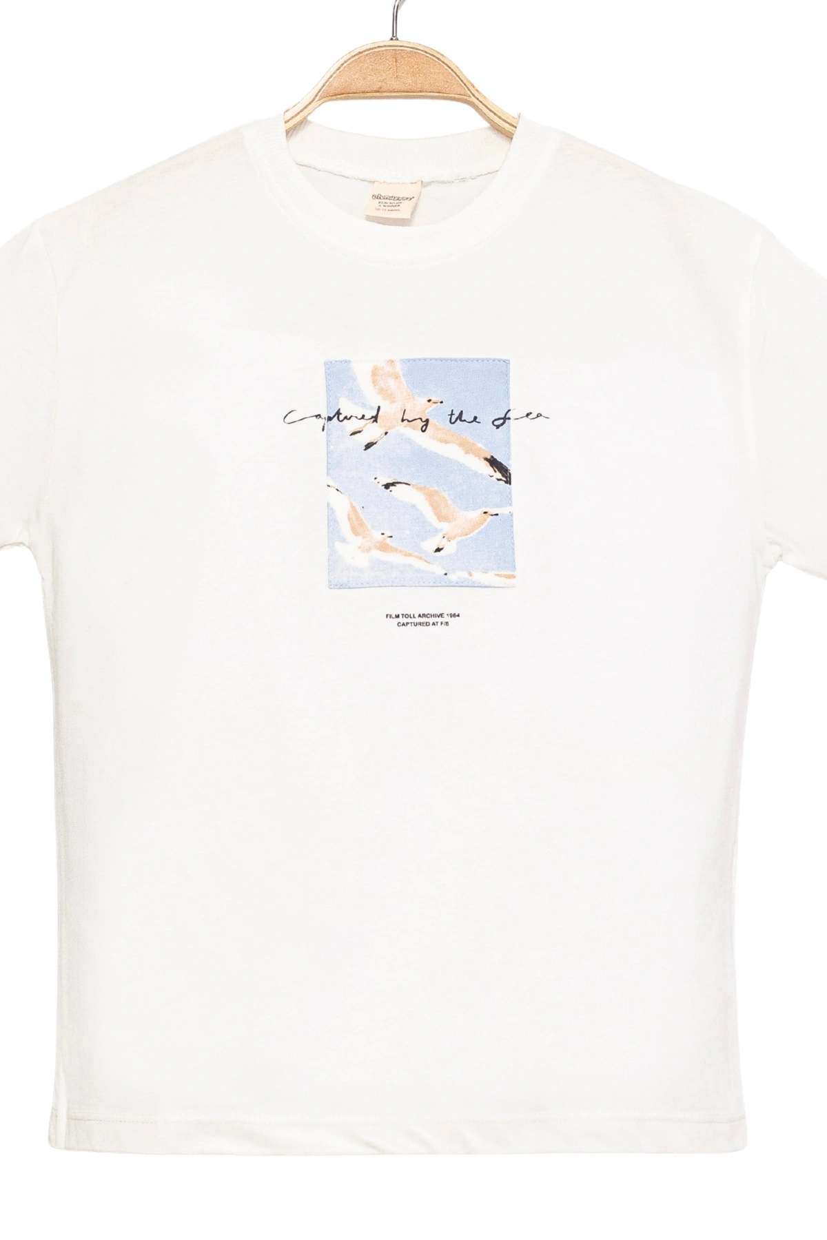 Erkek Çocuk Basic Kısa Kollu %100 Pamuk Martı Aplike Nakış Detaylı Rahat Beyaz T-Shirt
