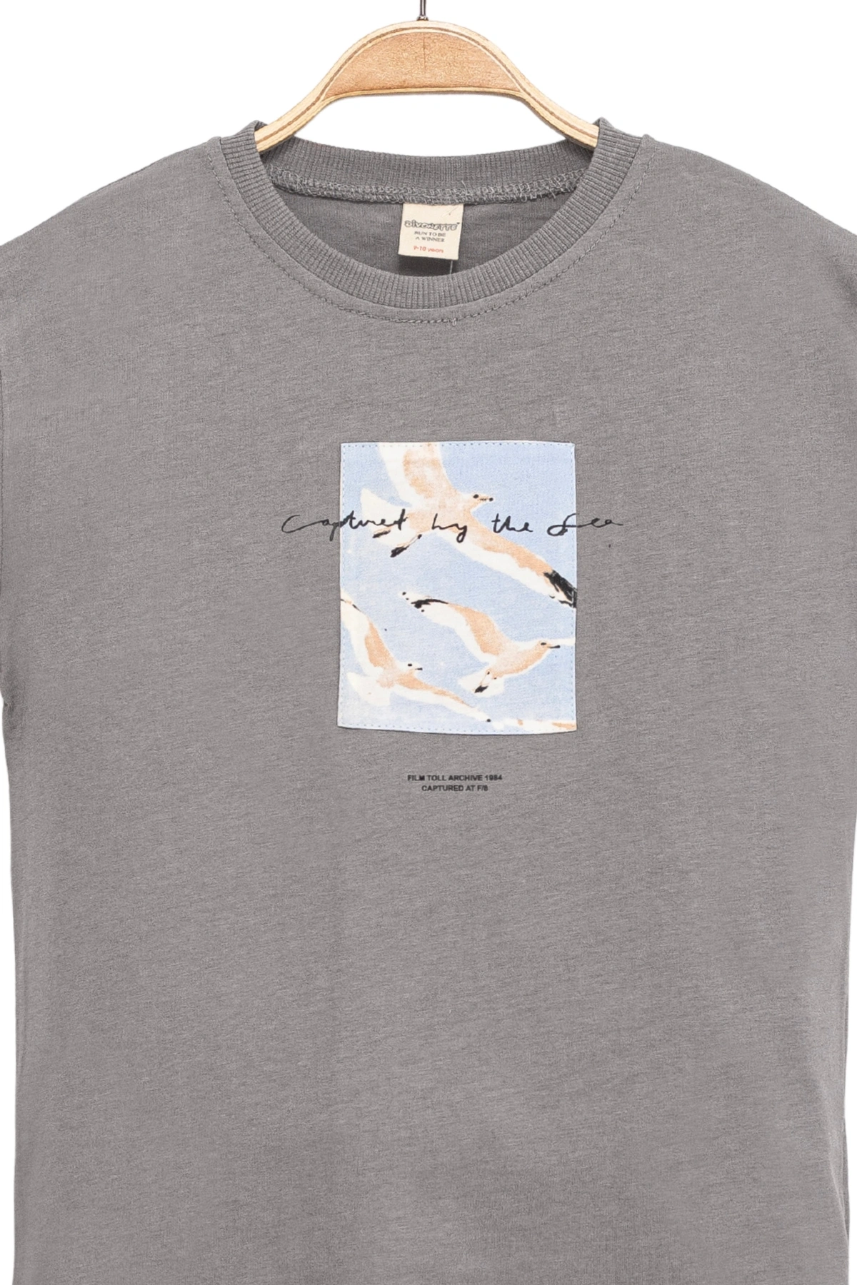 Erkek Çocuk Basic Kısa Kollu %100 Pamuk Martı Aplike Nakış Detaylı Rahat Gri T-Shirt