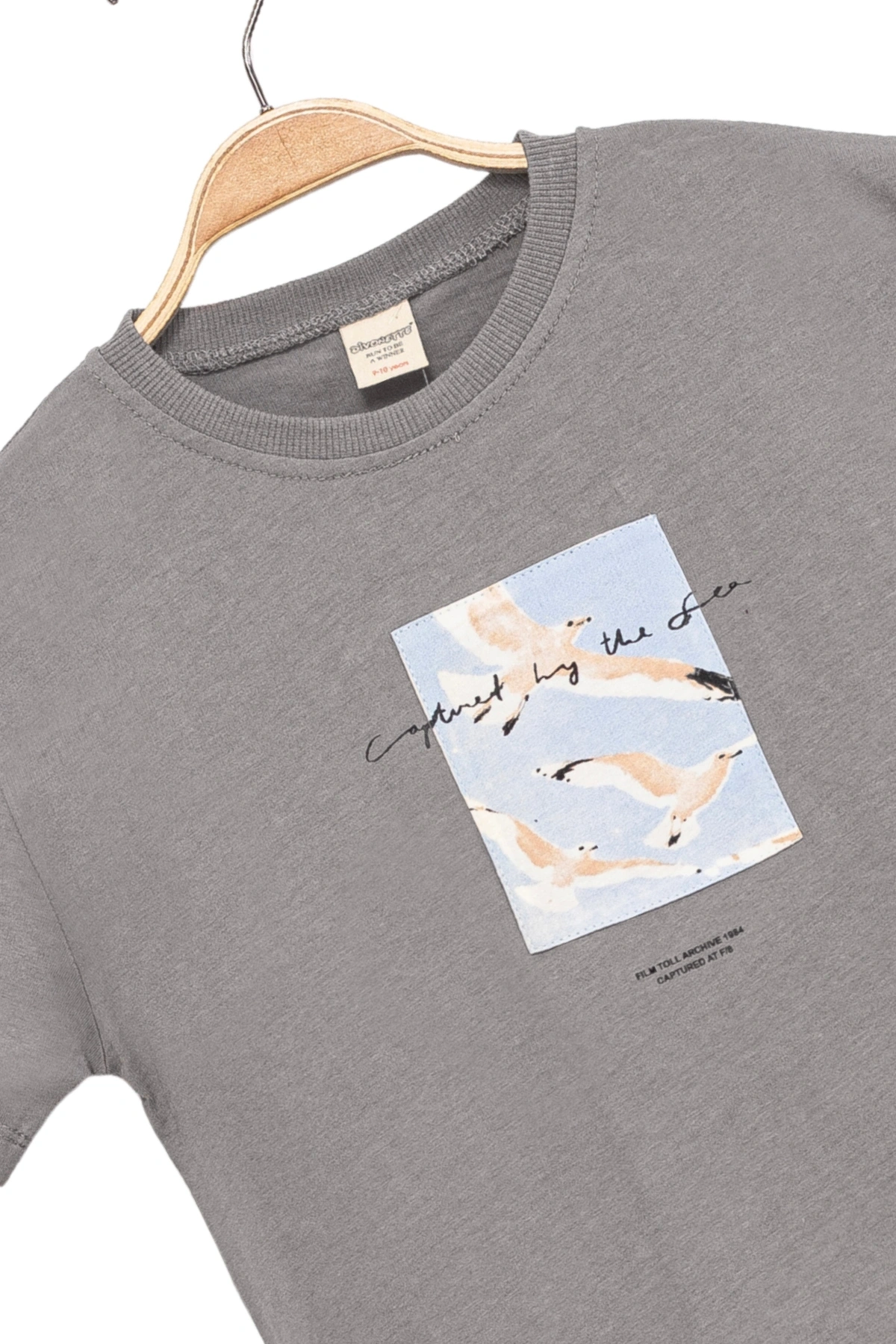 Erkek Çocuk Basic Kısa Kollu %100 Pamuk Martı Aplike Nakış Detaylı Rahat Gri T-Shirt