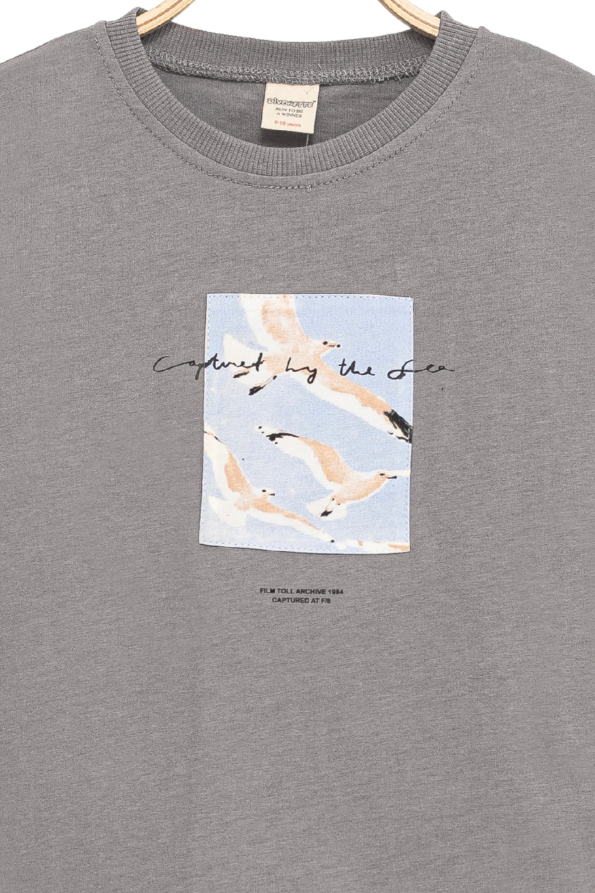Erkek Çocuk Basic Kısa Kollu %100 Pamuk Martı Aplike Nakış Detaylı Rahat Gri T-Shirt