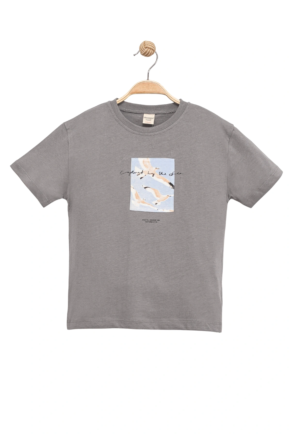 Erkek Çocuk Basic Kısa Kollu %100 Pamuk Martı Aplike Nakış Detaylı Rahat Gri T-Shirt