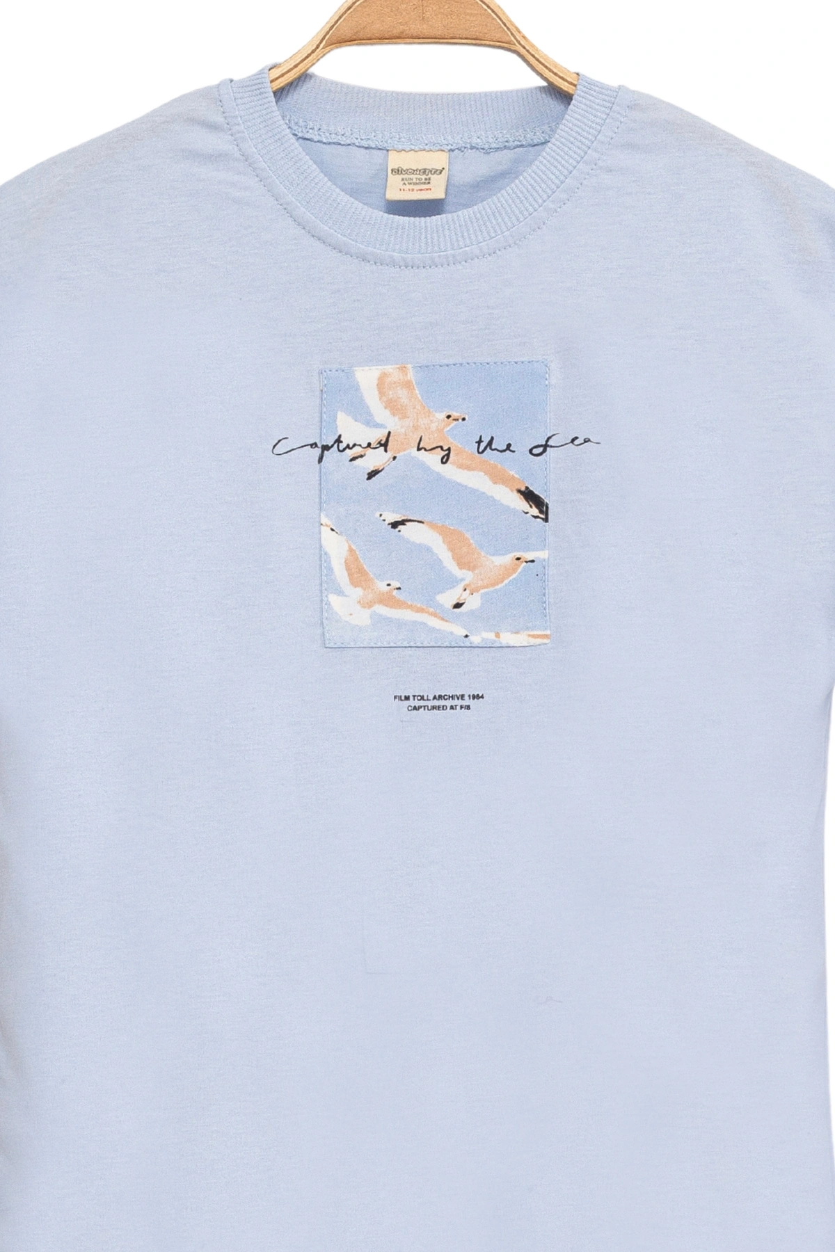 Erkek Çocuk Basic Kısa Kollu %100 Pamuk Martı Aplike Nakış Detaylı Rahat Mavi T-Shirt