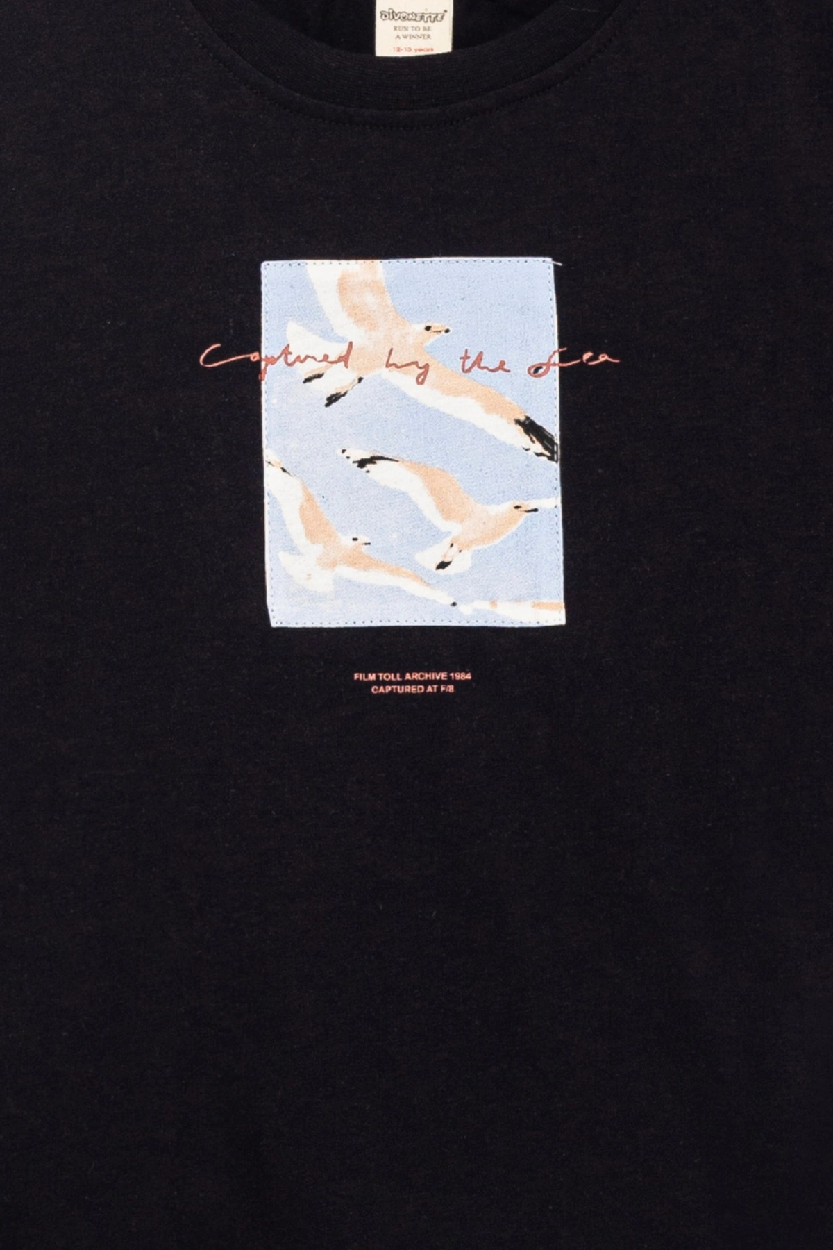 Erkek Çocuk Basic Kısa Kollu %100 Pamuk Martı Aplike Nakış Detaylı Rahat SİYAH T-Shirt