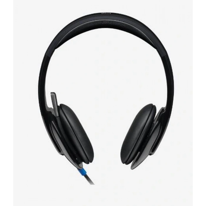 LOGITECH H540 USB SİYAH KULAKLIK 981-000480