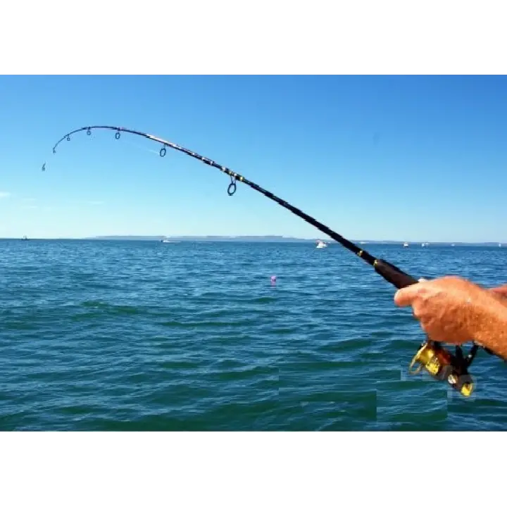 Misina 300m Polietilen Microfiber 2.0 Ip Misina Yeşil