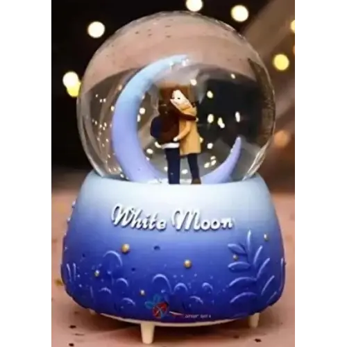 Kar Küresi Orta Boy Wy20k08