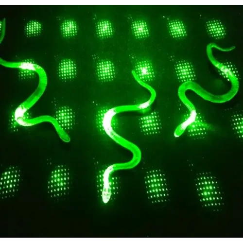 Şaka Yılan Ve Kırkayak Karışık 36 Adet