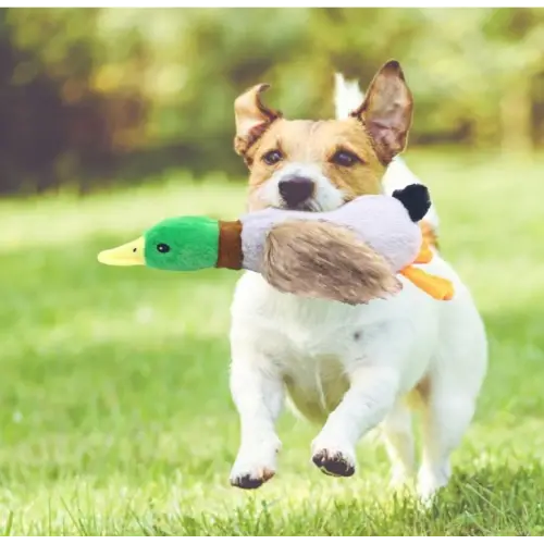 Sesli Ördek Şekilli Peluş Köpek Oyuncağı