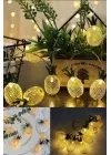 2m 10 Led 2 Kademeli Ananas Led Işık Pilli