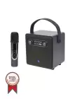 Bts-1688 Yeşil Mikrofonlu Karaoke Bluetooth Hoparlör