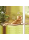 Cama Asılan Kedi Yatağı