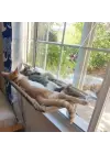 Cama Asılan Kedi Yatağı