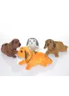 Kafa Sallayan Köpek Aksesuar