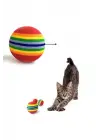 Sünger Kedi Köpek Çiğneme Ve Oyun Topu 4 Adet