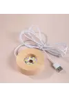 Usb&039li Ahşap Altlıklı Kalp Tasarımlı Cam Küre