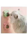 Yengeç Kedi Otu Oyun Topu