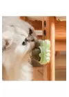 Yengeç Kedi Otu Oyun Topu