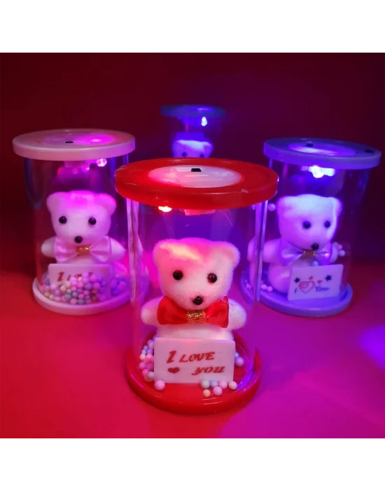 Işıklı Cam Fanus İçinde Ayıcık