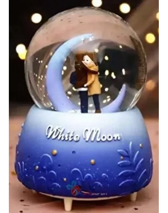 Kar Küresi Orta Boy Wy20k08