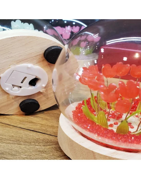 Led Işıklı Lale Cam Fanus