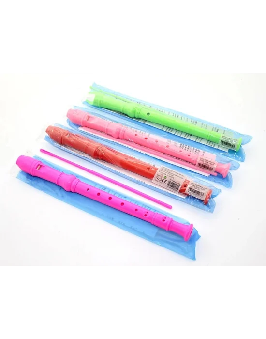 Renkli Plastik Flüt Alk2135