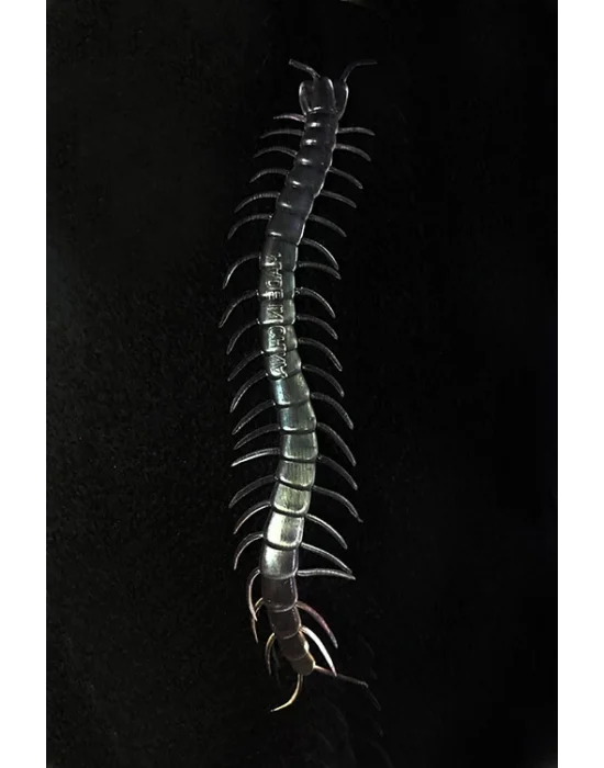 Şeffaf Renk Karanlıkta Parlayan Fosforlu Kırkayak 13 Cm 1 Adet