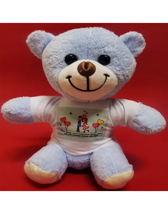 Tişörtlü Mavi Ayı