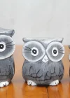 Ahşap 3lü Baykuş Seti Polos:2