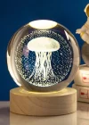 Deniz Anası Işıklı Cam Küre