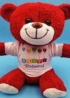 Happy Birthday Peluş Kırmızı Ayı