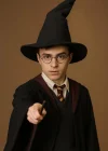 Harry Potter Seçmen Şapkası Siyah Renk