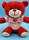 Kırmızı I Love You Ayıcık