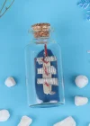 Mini Boy Şişe İçerisinde Gemi Maketi