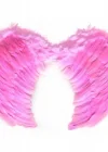 Pembe Renkli Orta Boy Çocuk Melek Kanadı 40x60 Cm