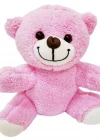 Sevimli Peluş Pembe Ayıcık