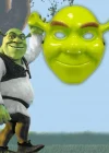 Yeşil Shrek Maskesi 21x25 Cm